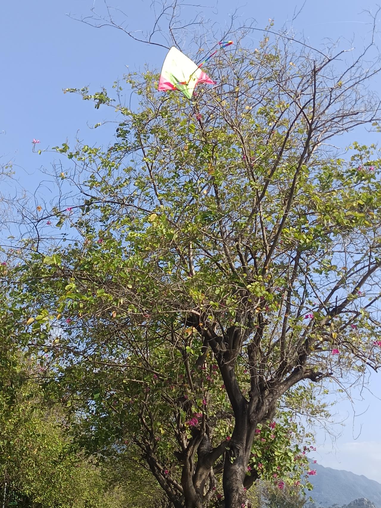 女人多读书是有用的



昨天见一个小孩和他母亲一起在星湖年风景区放风筝。
竟然