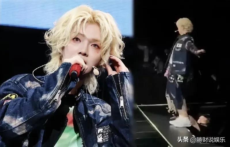 8月22日，鹿晗在深圳演唱会上险些踩空摔入升降台，工作人员眼疾手快及时相救，这一
