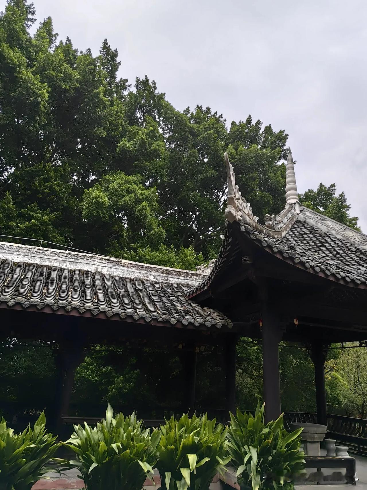 2025年正月初三，此刻窗外雨潺潺，很享受独处的自在，一个人静静把2025年的计