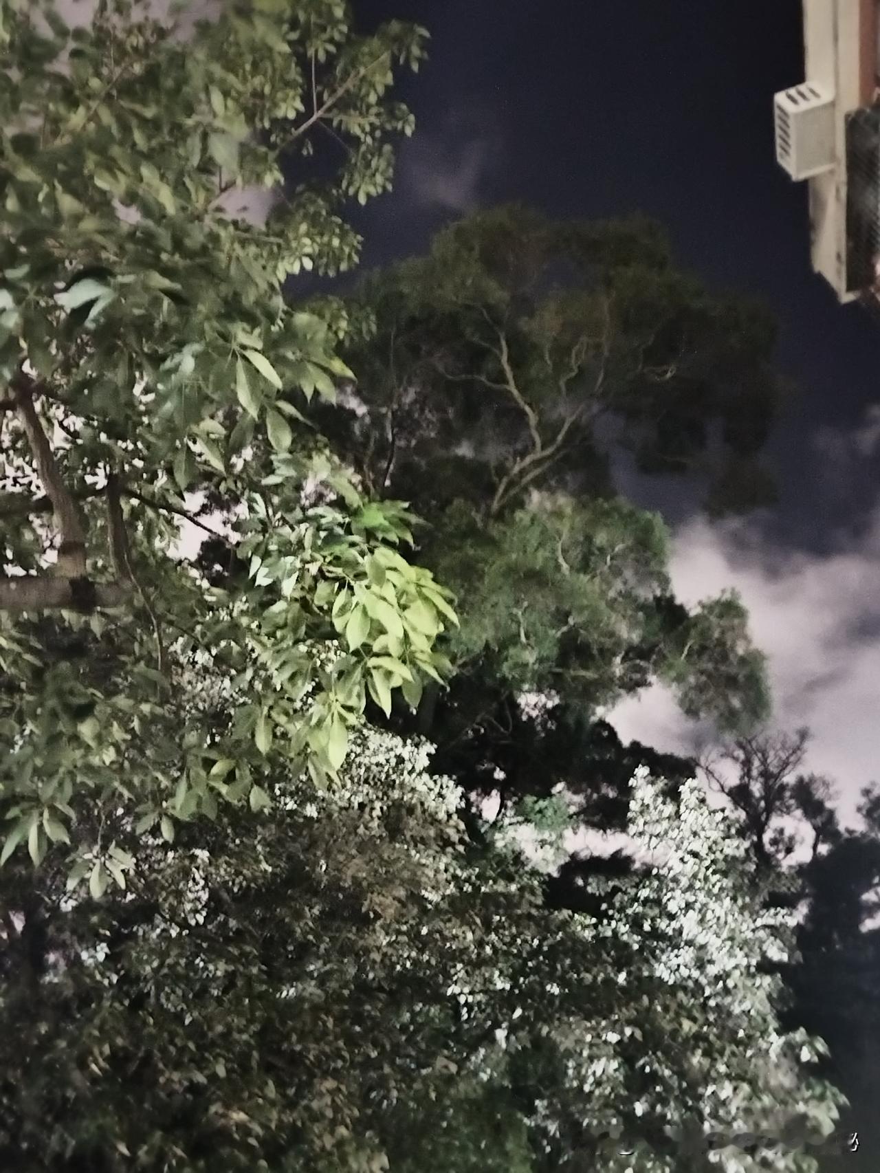 分享一张你拍的城市夜景晚饭后闲逗弯儿随手拍，忙了一天了，终于可以放松一下。
