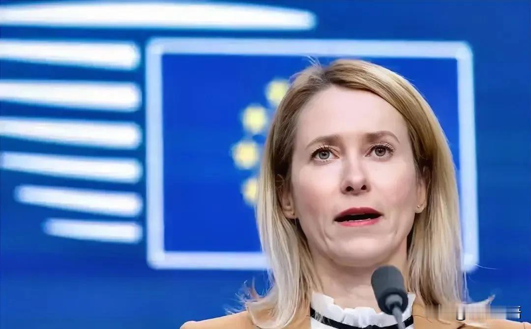 政客唱戏 vs 企业用脚投票：欧洲对华“经济北约”闹剧

欧盟外长卡拉斯最近又整