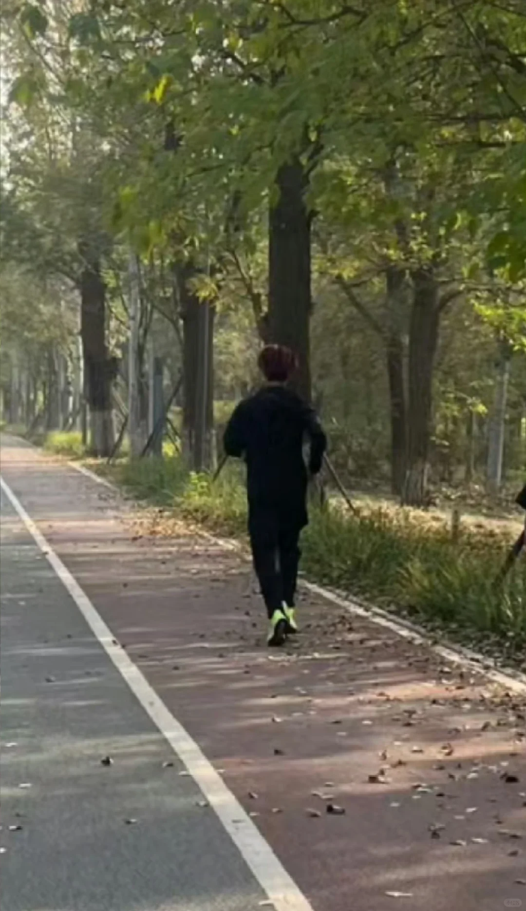 鹿晗 鹿晗又在跑步 好廋的背影