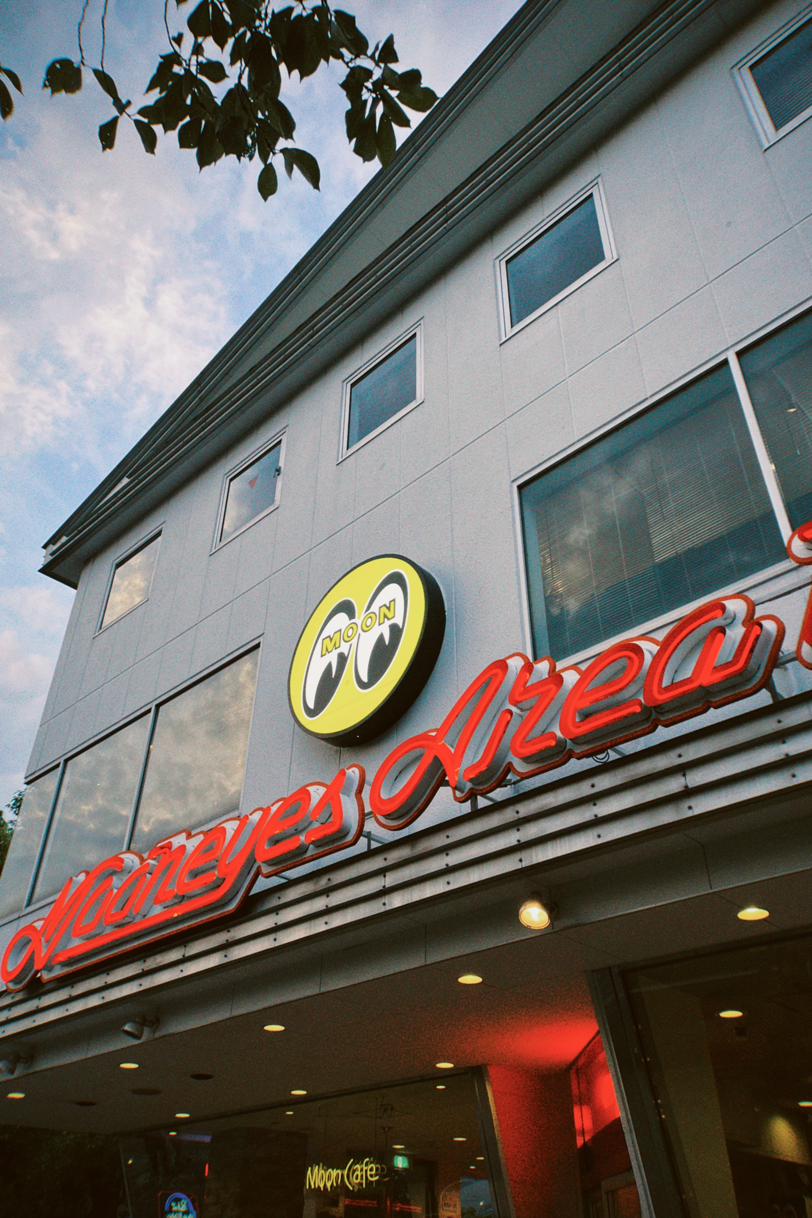 分享图片 ​​​