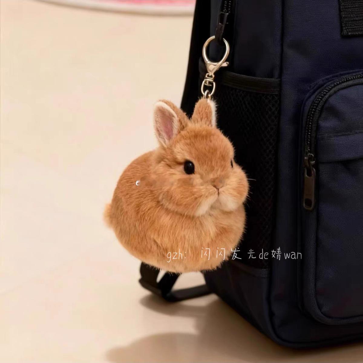 看看这谁啊，把我兔兔挂包上了