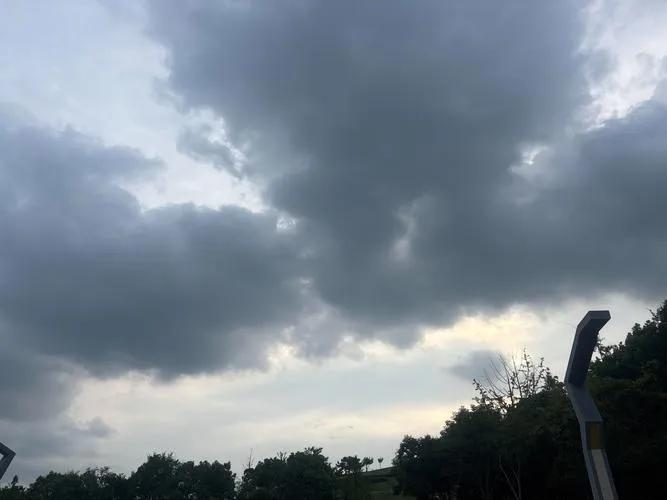 一、《清平乐·夏雨初至》

炎蒸如煮，蝉噪深庭树。
忽见浓云遮日暮，风动帘栊轻舞