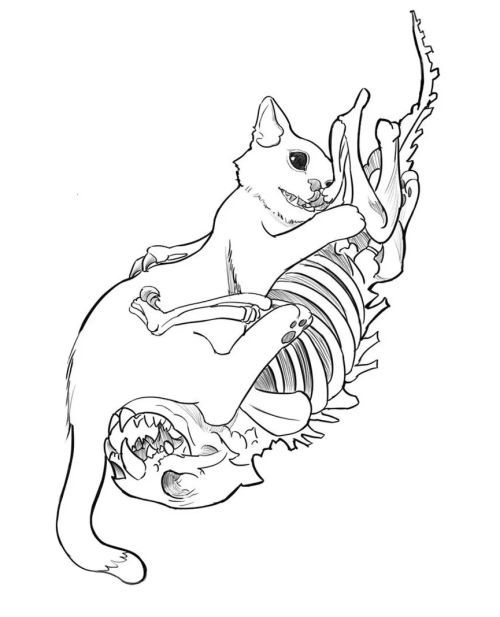 想做薛定谔的猫