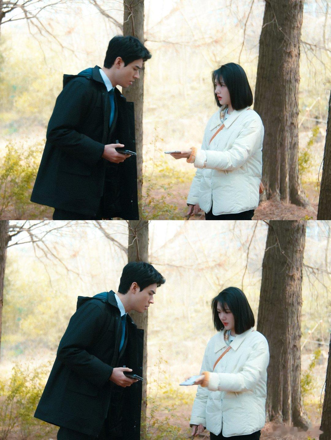 家事法庭相亲会爆改修罗场 家事法庭 本以为是不会再交集的两个人，结果在相亲局正面