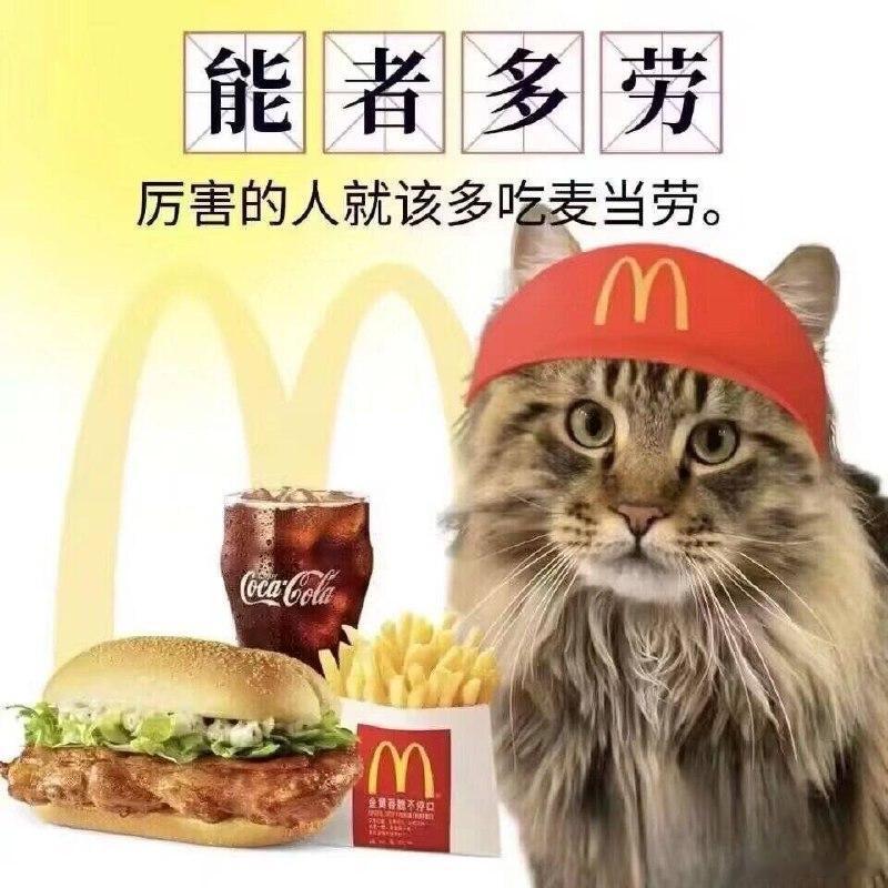 好一个能者多劳！垃圾麦当劳我天天都吃 看来我挺能的[笑cry] ​​​