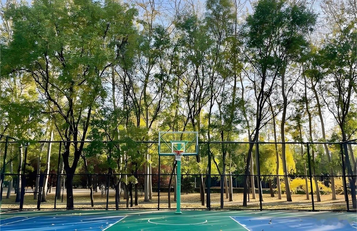 朝阳公园室外篮球场居然要30元/人，遥记得十年前北工大的球场也就5块还是8块来着