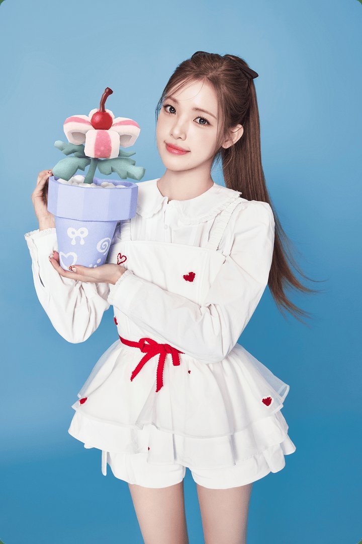 小盆栽里的隐藏照片📸🩵 