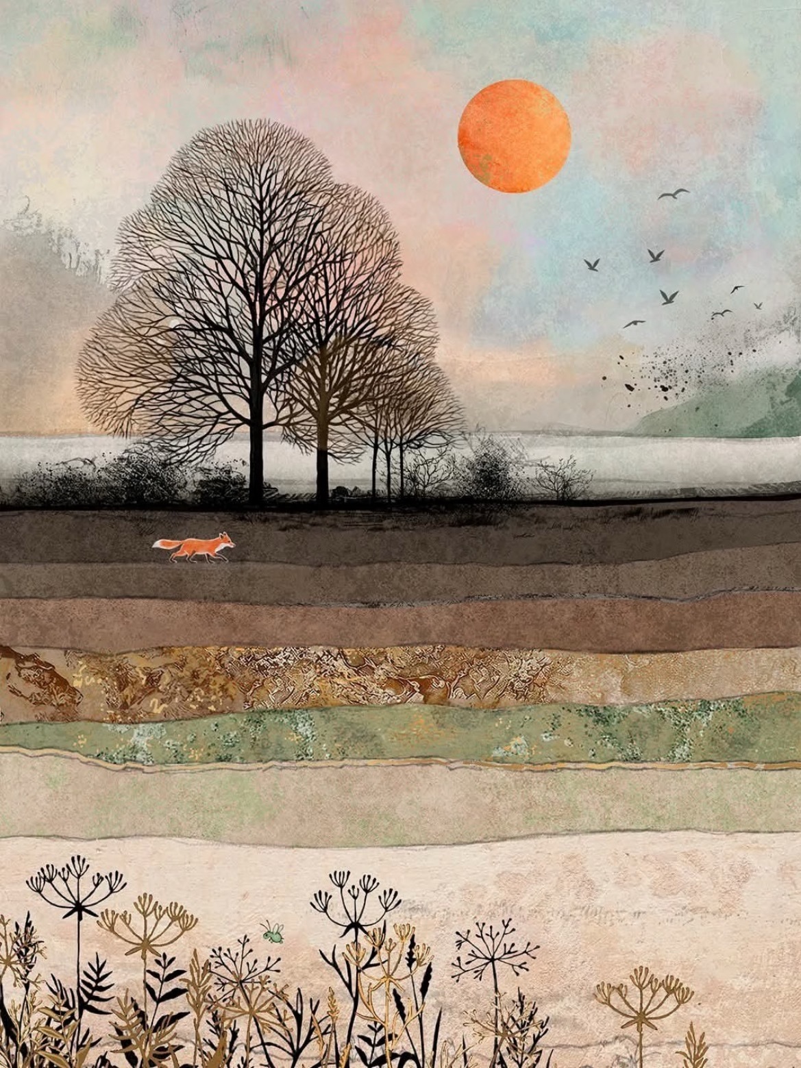 这幅画名为《狐狸田》（Fox Field），出自英国插画师简·克劳瑟（Jane 
