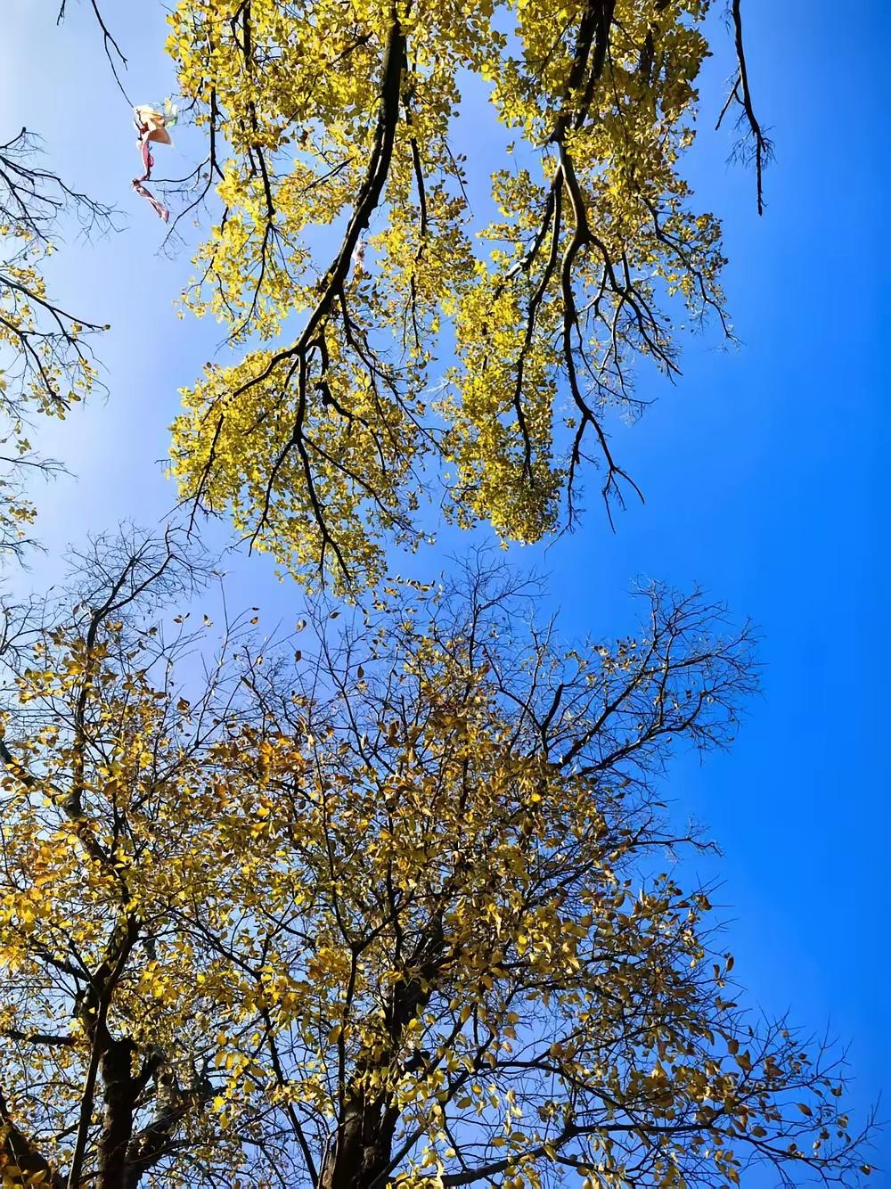 我天天发三四条微头条，每写完一条过两个小时就会瞅瞅，主要看展现量能不能破千，阅读