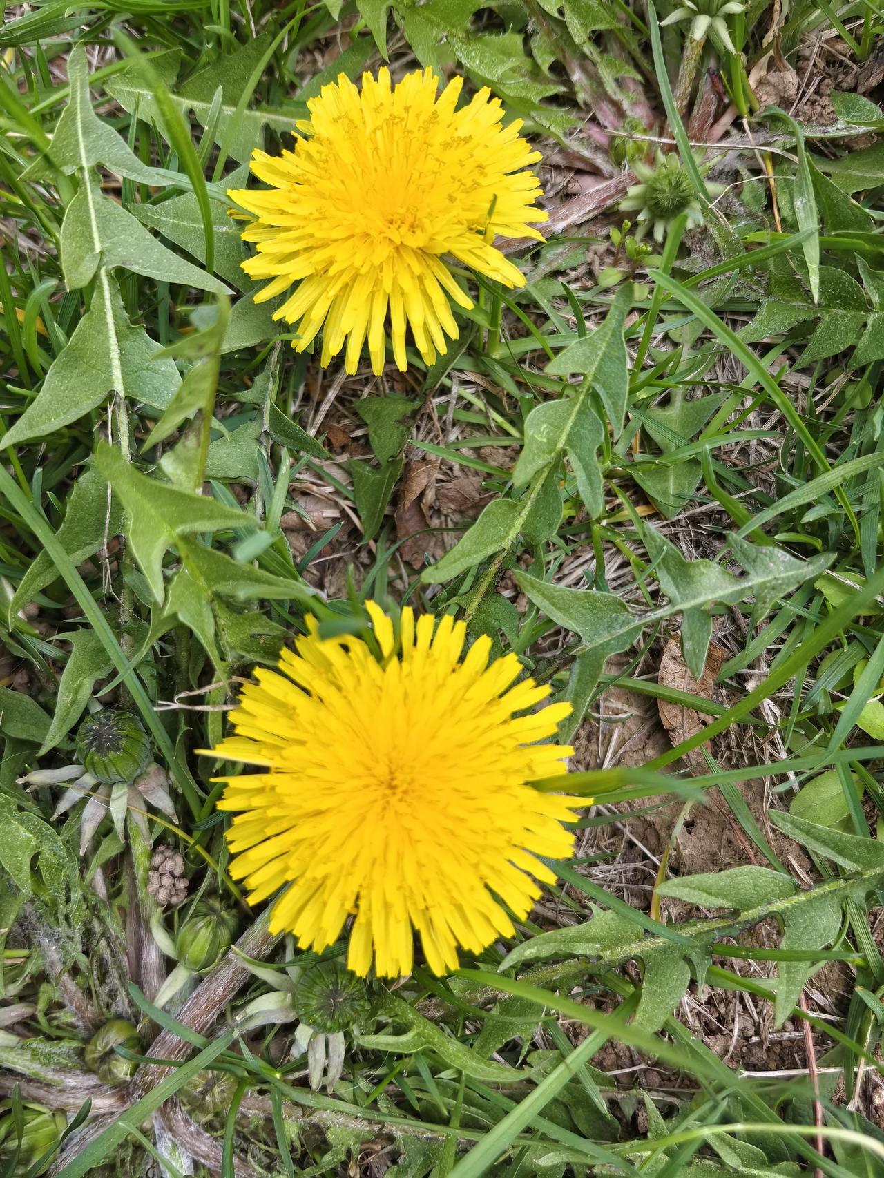 富贵登高路好走，
清贫度日事事愁。
尝尽人间凉与暖，
方知人生难回头。