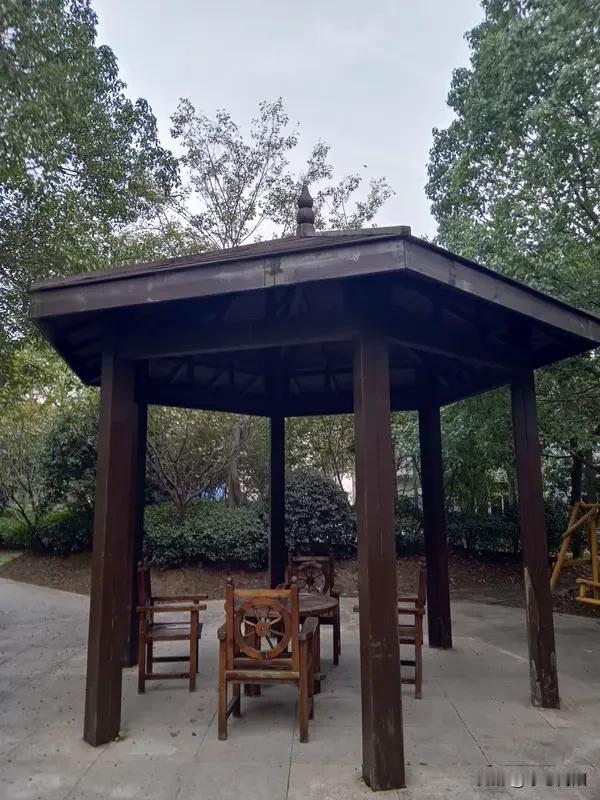 小区楼下的凉亭里，张大妈最近可谓是春风得意。她儿子上个月刚被一家世界五百强的外企