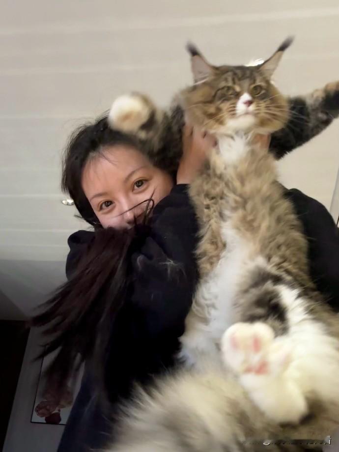 感觉田曦薇有点较真了。

田曦薇特意晒猫，并在评论里强调“撞翻所有人”，疑似回应