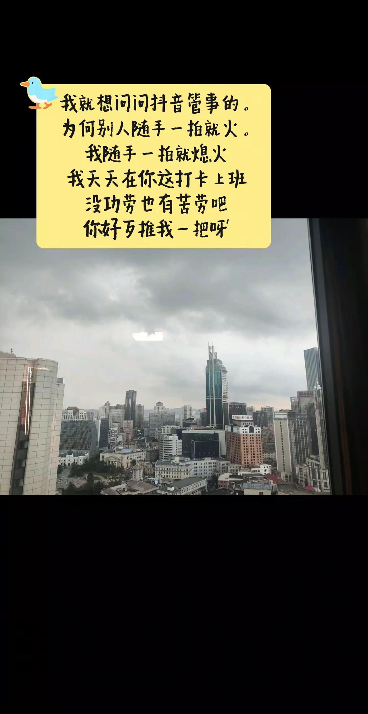 天天在打卡，希望能推我一把！二创激励计划 上热门