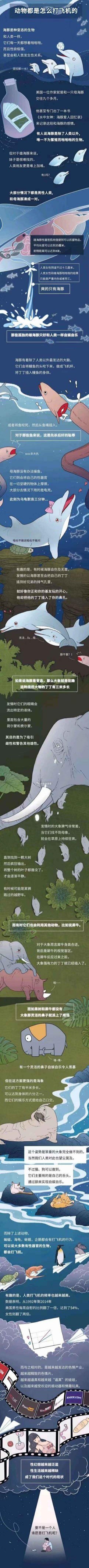 动物都是怎么打飞机的 ​​​