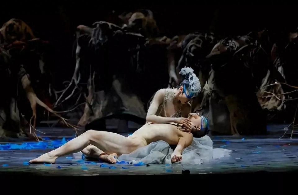 沸腾！揭秘：杨丽萍舞伴殒命！从39楼跳下，年仅44岁！天堂再舞《雀之恋》
因为《