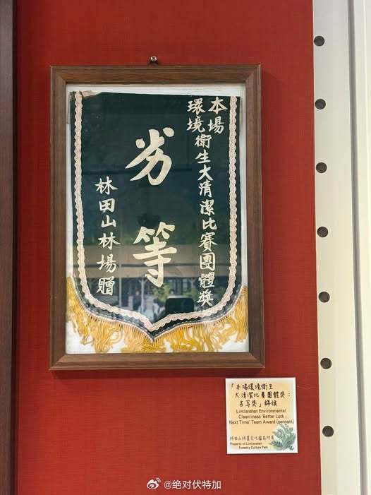 环境卫生评比劣等将锦旗。迷惑行为大赏 段子 台湾