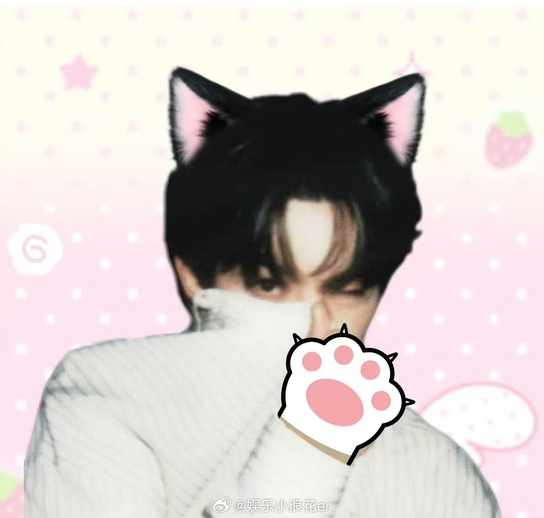 新浪娱乐又换邓为头像了 谁被萌到了我不说！水灵灵换上软乎乎的头像，愚人节限定版阿