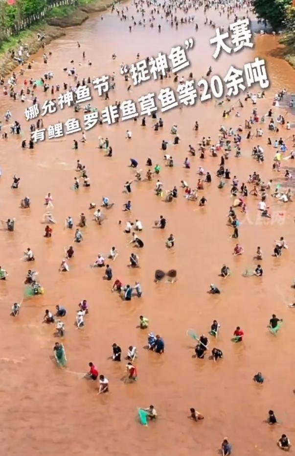 【云南万人下河抓20多吨鱼】近日，云南孟连举办“捉神鱼”大赛，吸引万人参与。本次