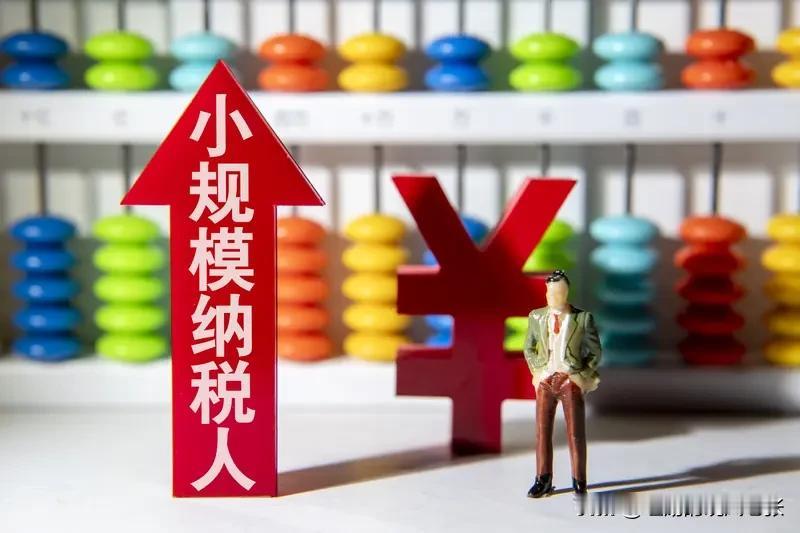 2026 年增值税新规对小规模纳税人影响颇大。以往，小规模纳税人享有一定优惠政策