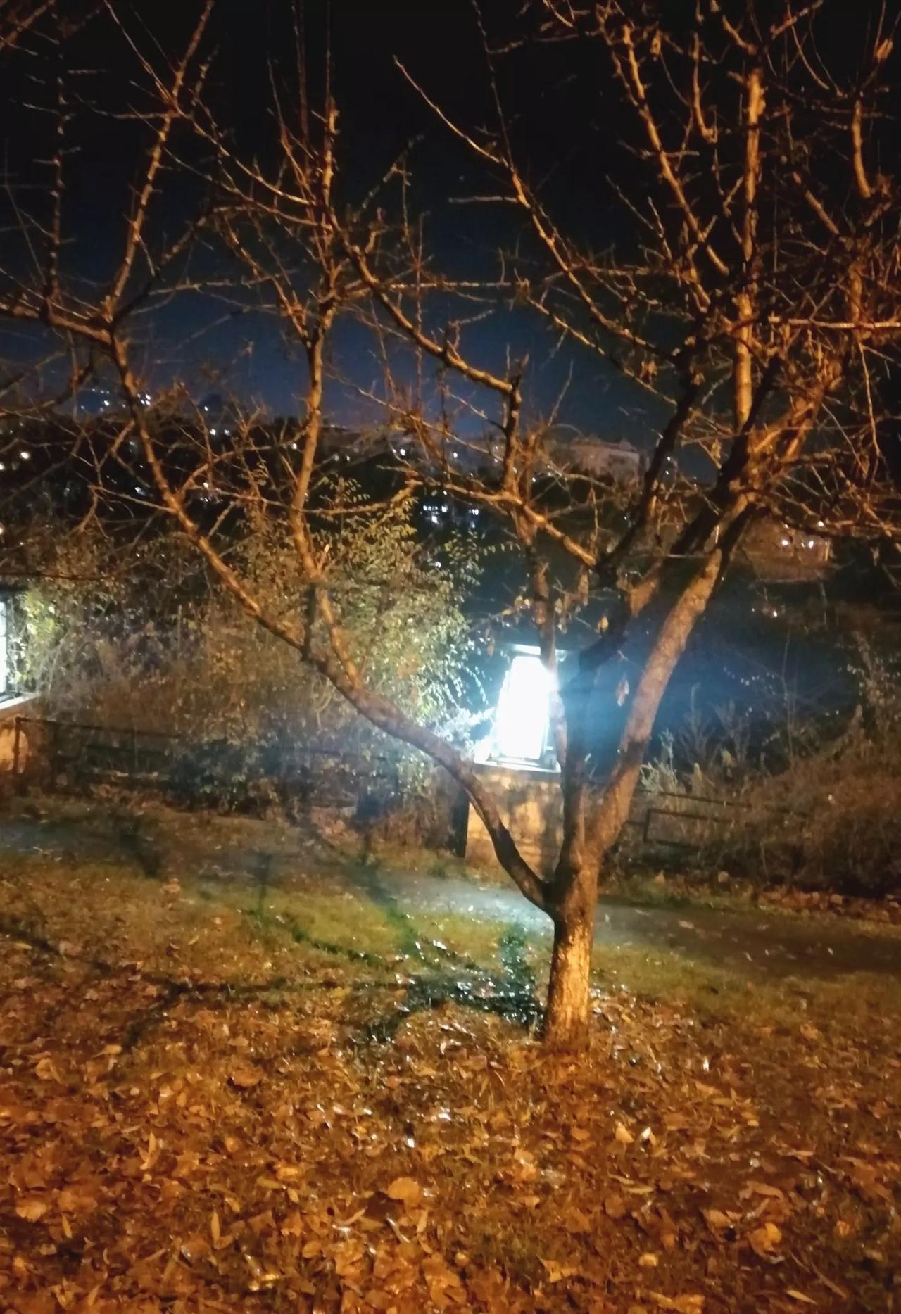#分享一张随手拍照片#