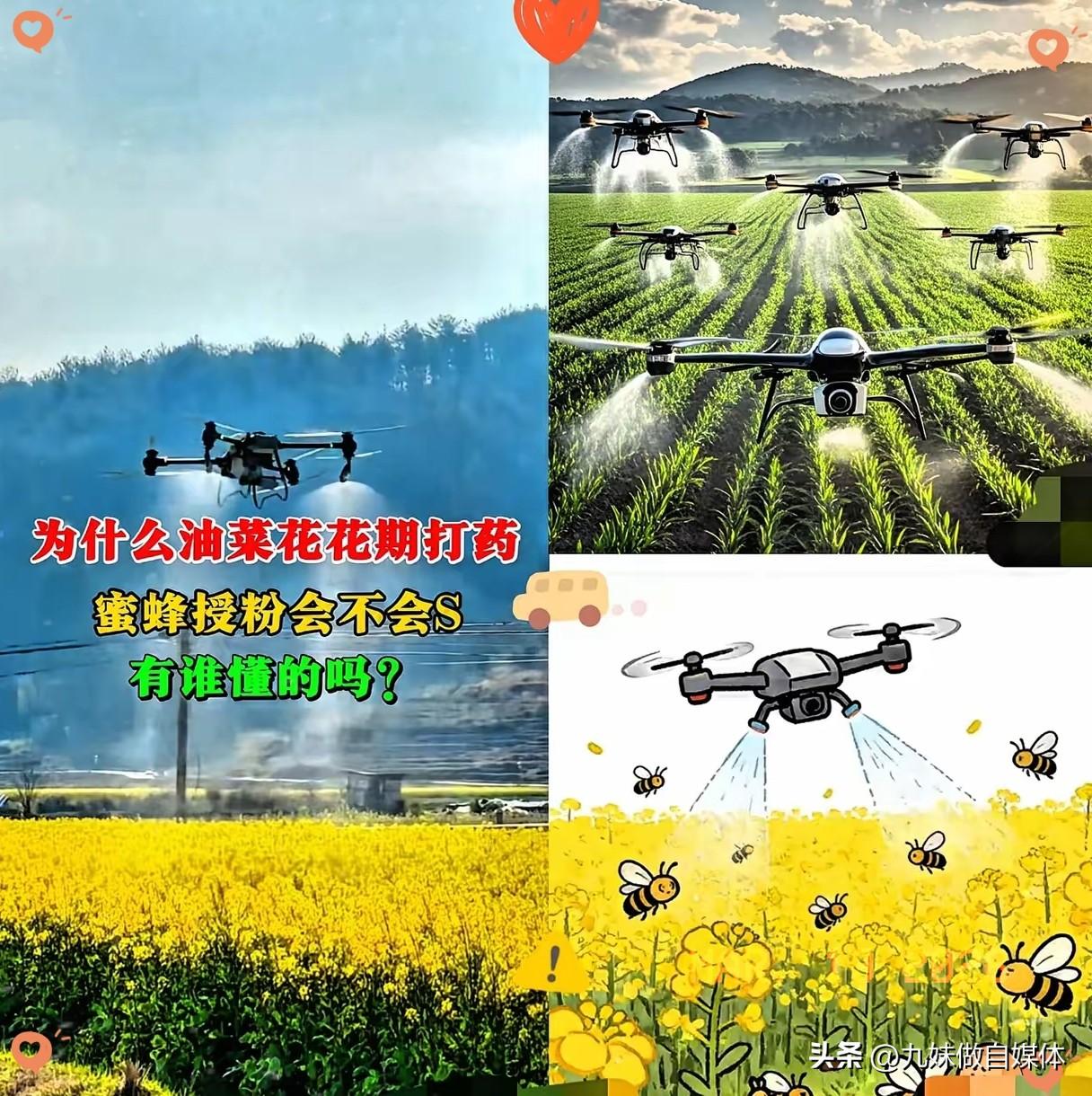 官方这次是动真格了，油菜花花期乱喷药的人，这次真的要慌了。
​看到蜂农看着满地死