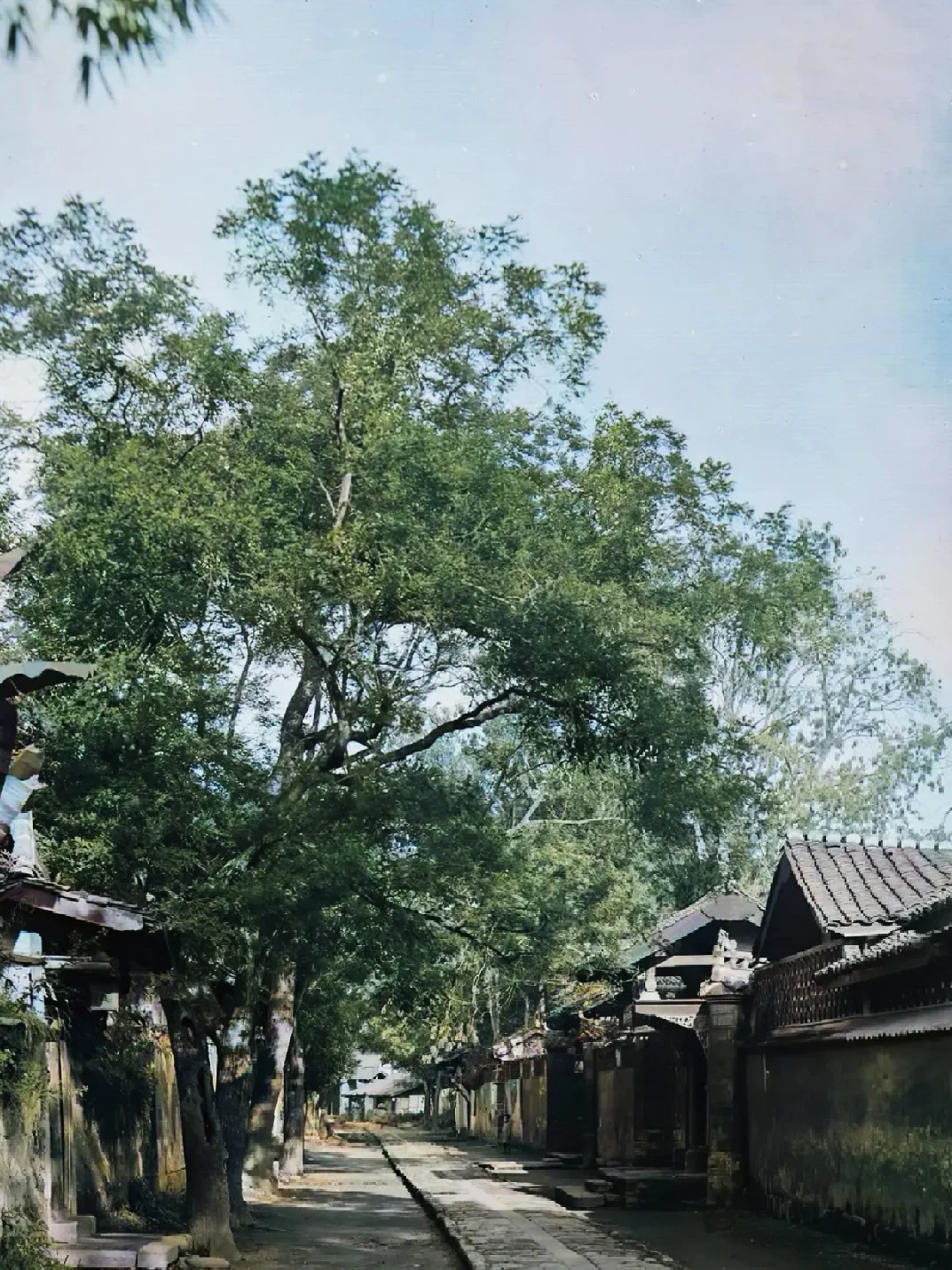 成都｜1908年