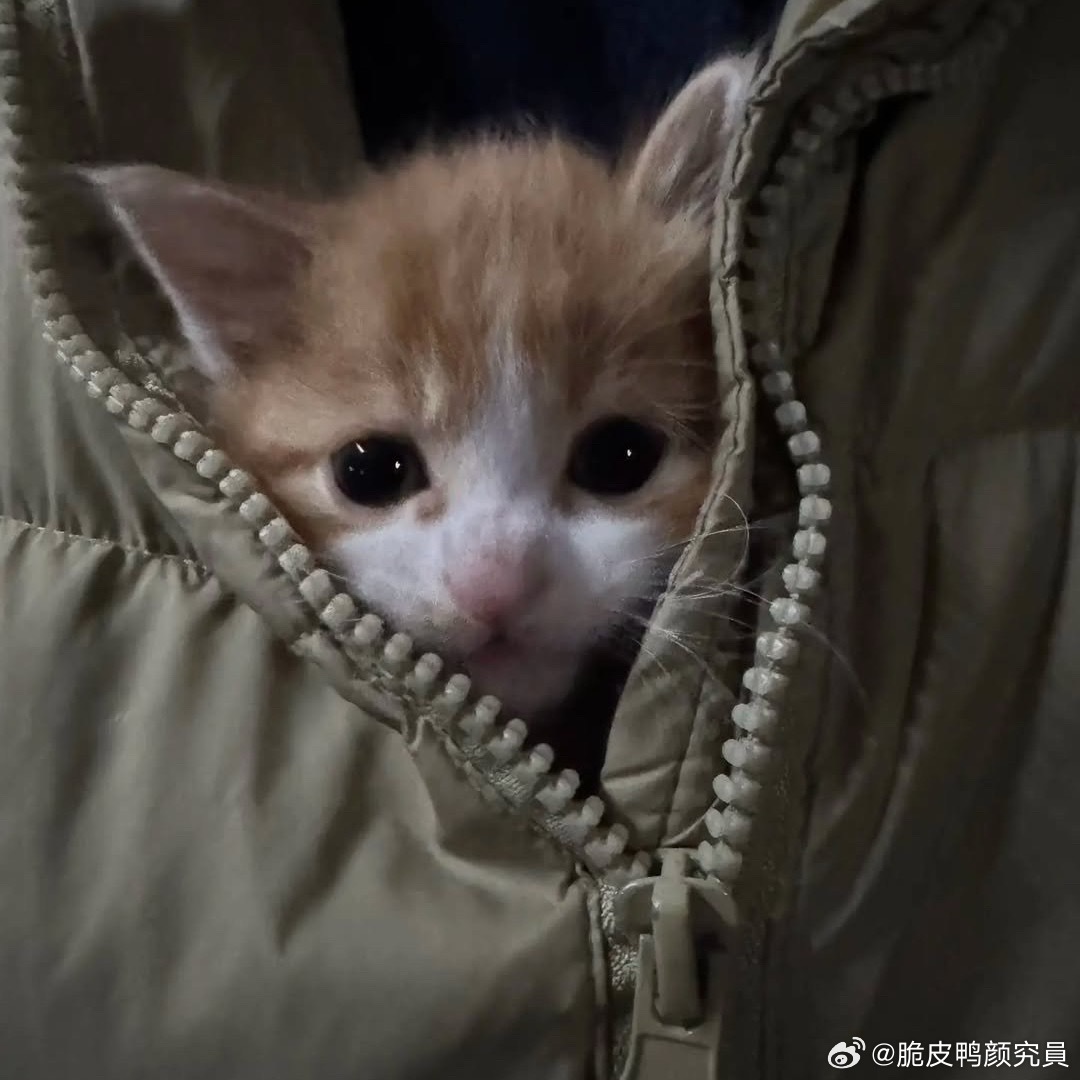 分享图片 