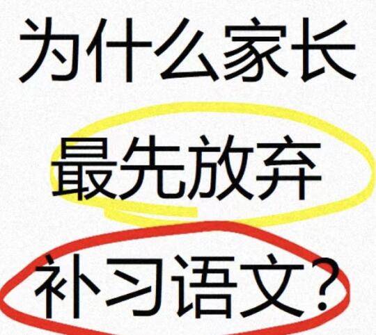 为什么家长最先放弃学习语文‼️