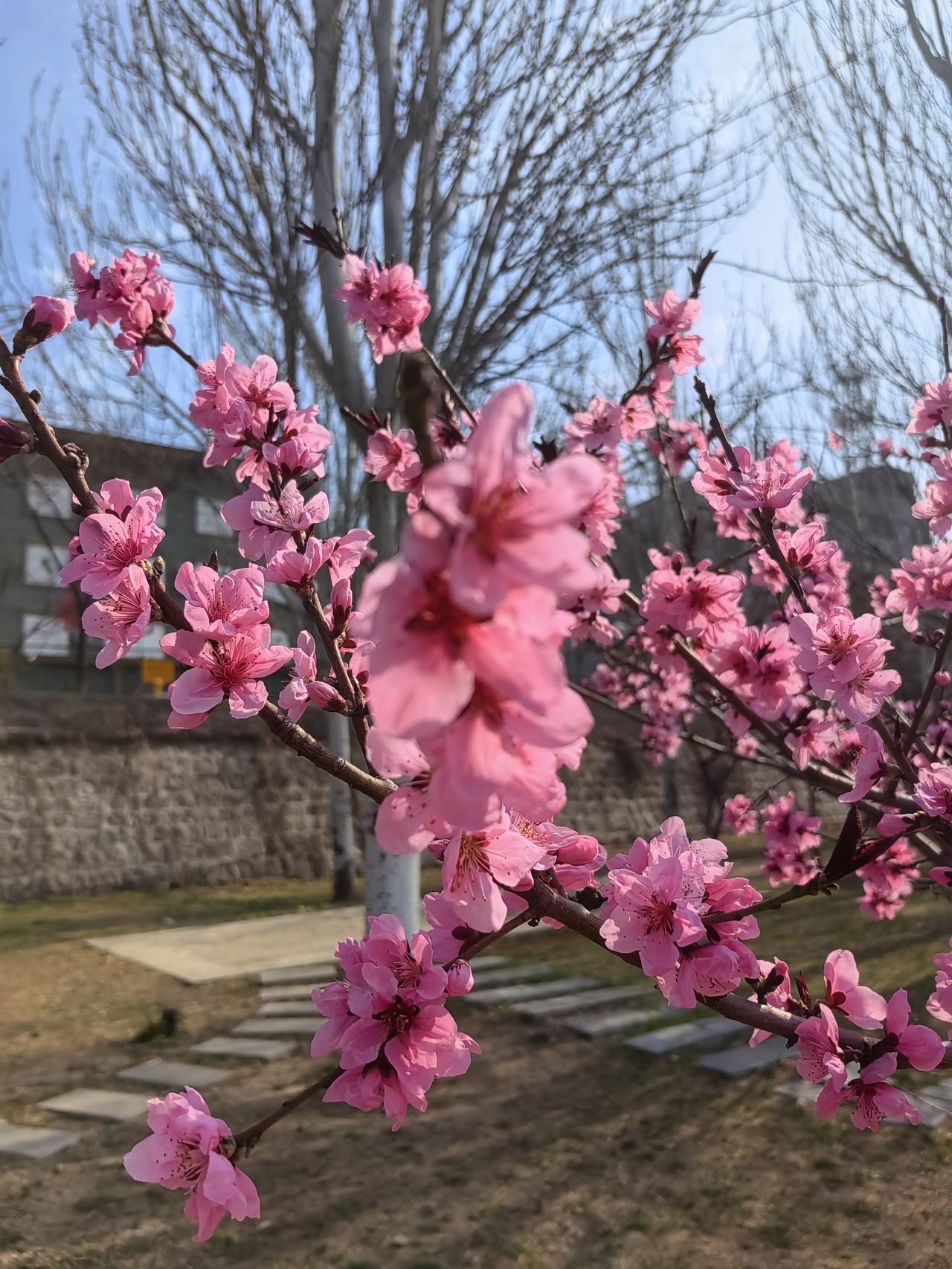 当下，中东地区战事如火如荼，48支世界杯参赛队伍也已悉数就位。那么，是会在战时达