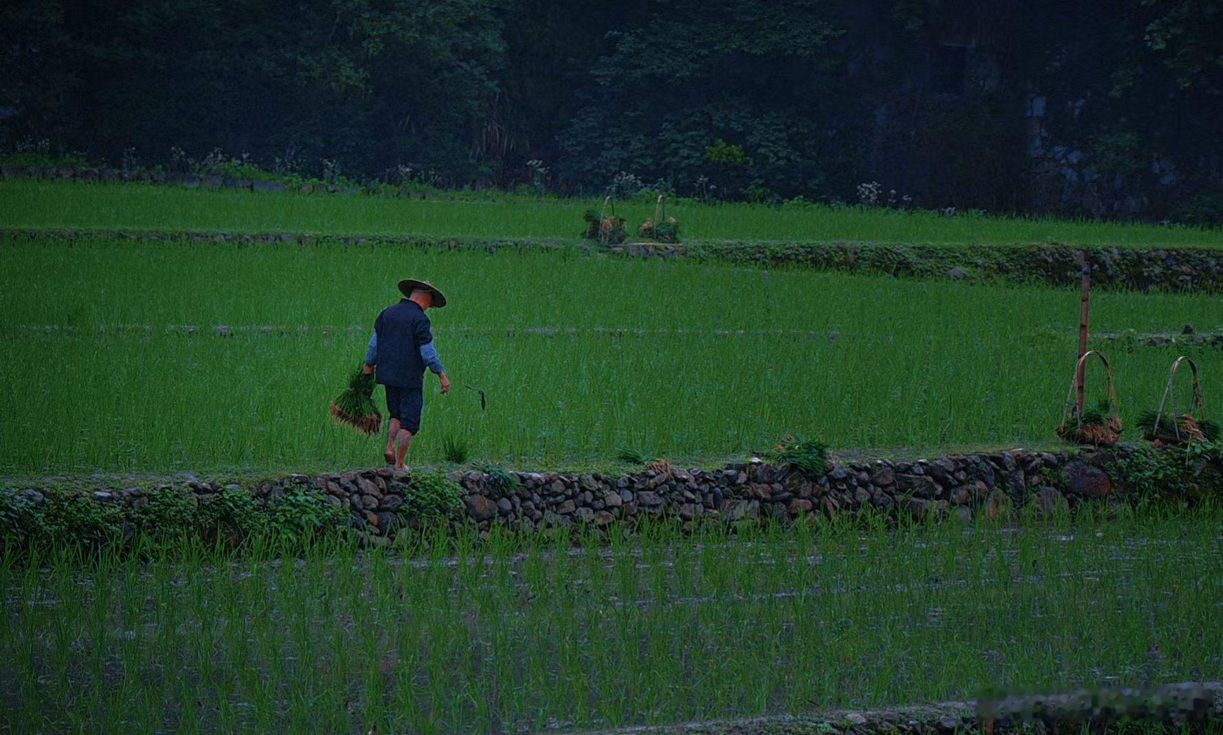 村居晨晓……手机摄影﻿ ﻿用眼睛寻找美丽山美水美家乡美江南天天拍好摄天下