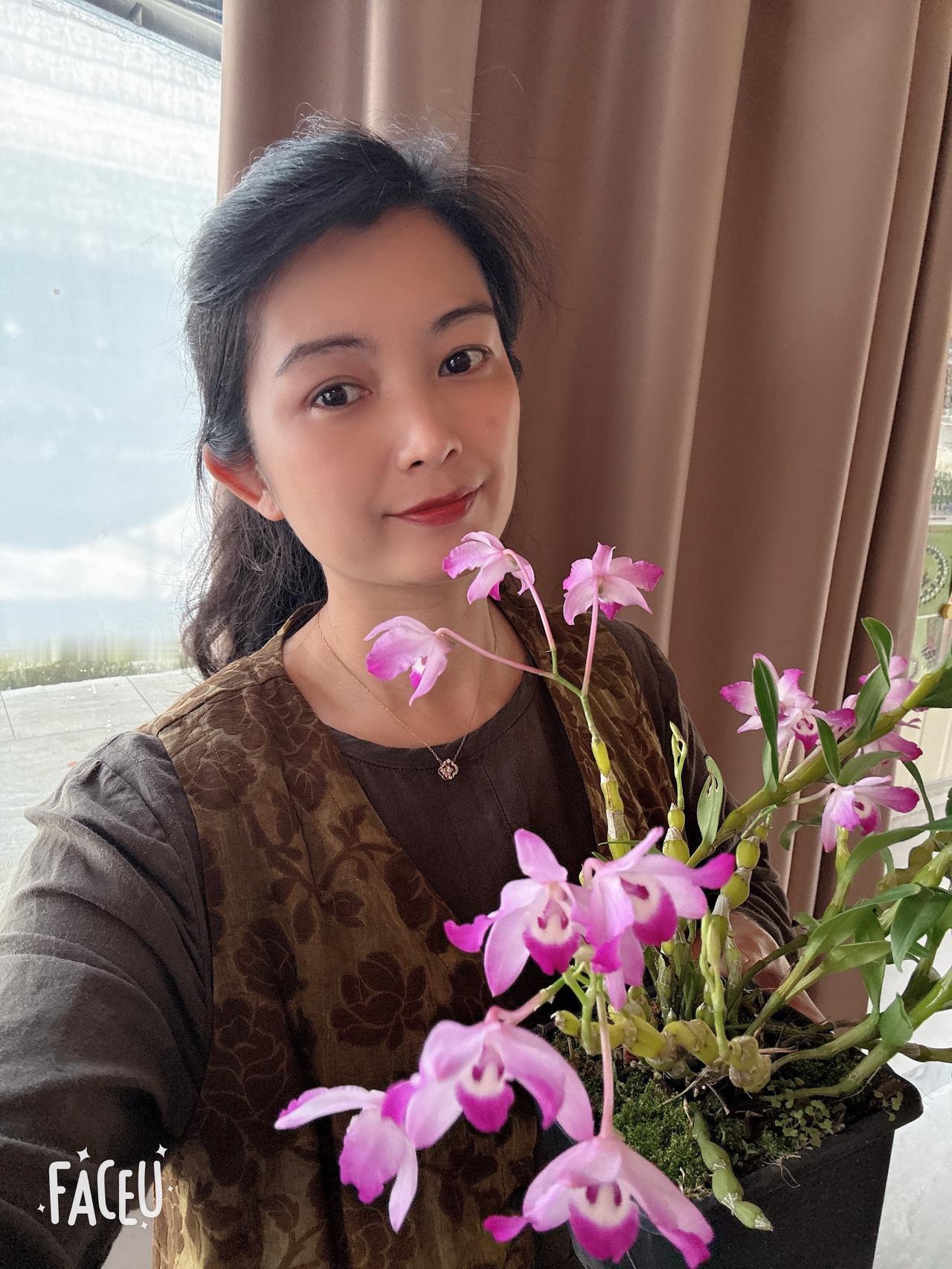 我和我的花花草草。
心有暖阳，何惧风霜，独自等春来。
等花开，等雾散，等自己勇敢