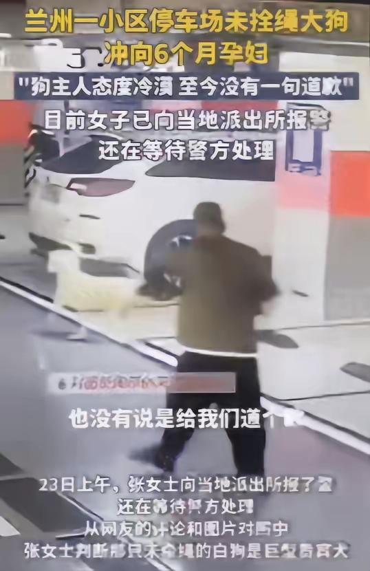 必须严惩！甘肃兰州，三名女子经过地下停车场时，突然，一只白色贵宾犬冲了过来，两名