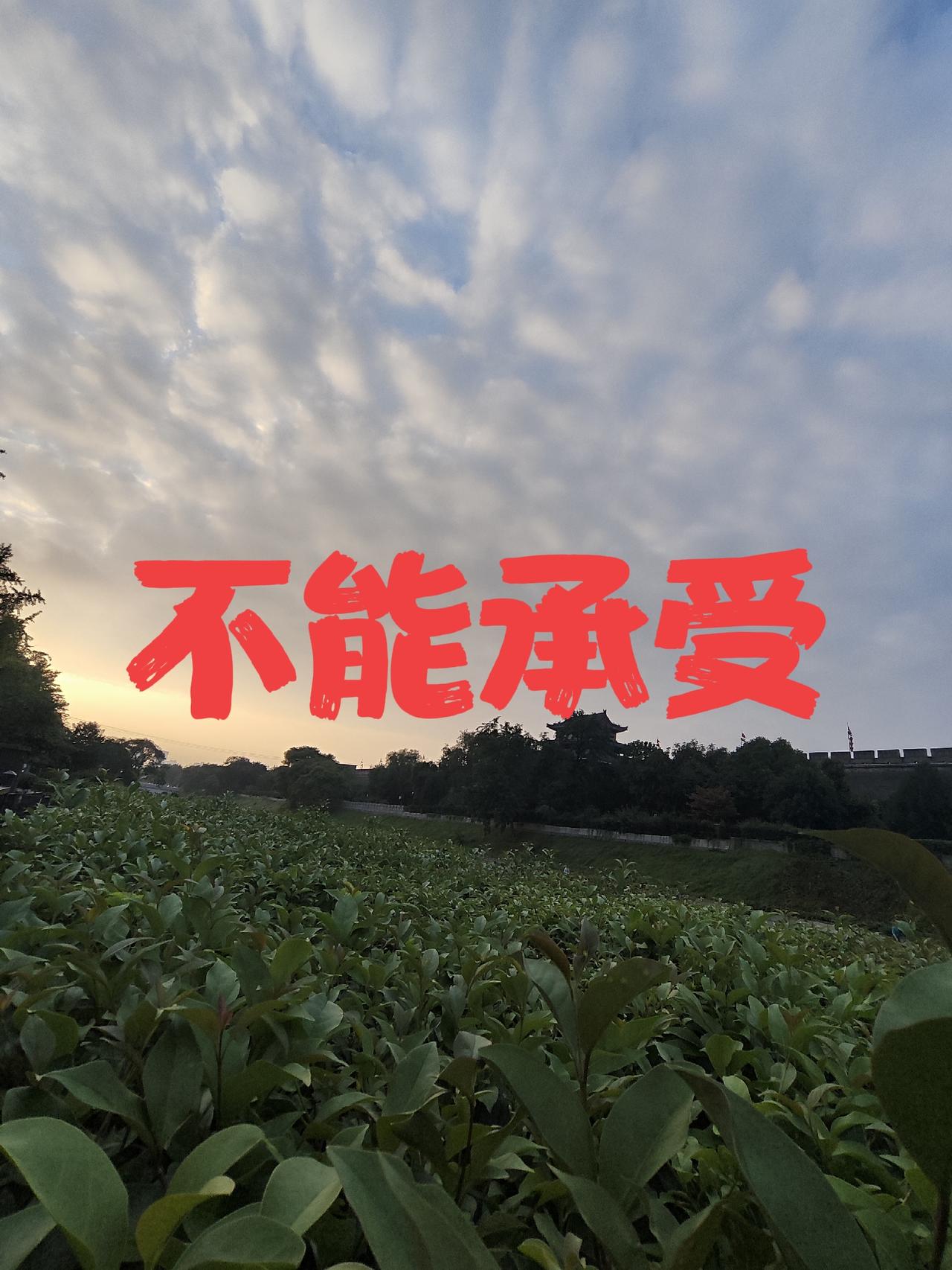美国兵棋推演的悖论
美国兵棋推演了多少次？有美国胜的，有美国败的。无一例外的都是
