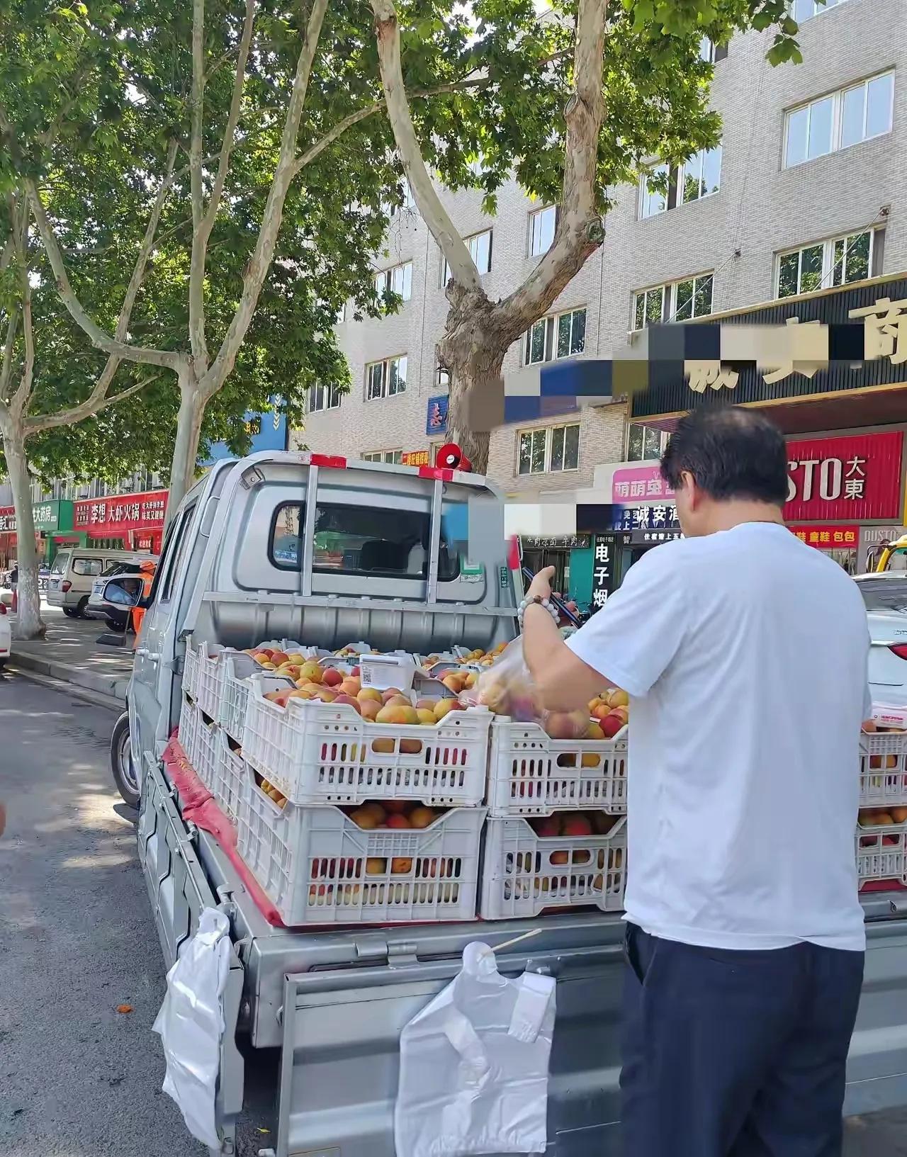 2块5一斤的甜杏，烂在地里也没人收。

路边大卡车，喇叭喊了一天：“华胥杏，比初
