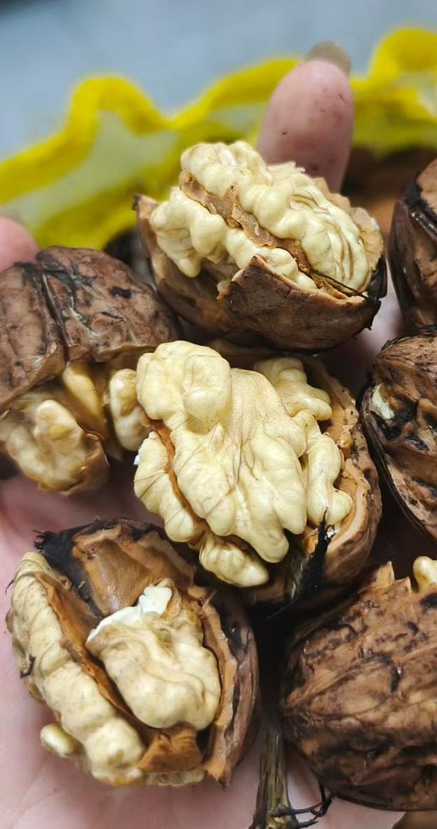 一位国学大师说：“你一生的功名利禄全都是天定，你不要认为这是自己奋斗来的。你所能