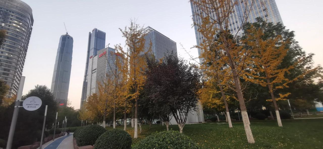 济南CBD，秋意浓浓