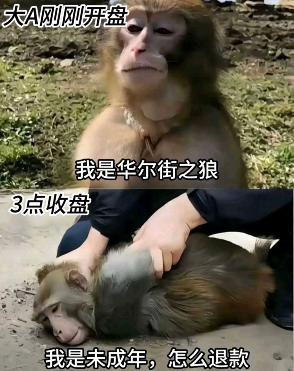 别骂了别骂了，A股又不是今天这样。过去这样，未来也会这样，你们自己选择要玩的！开