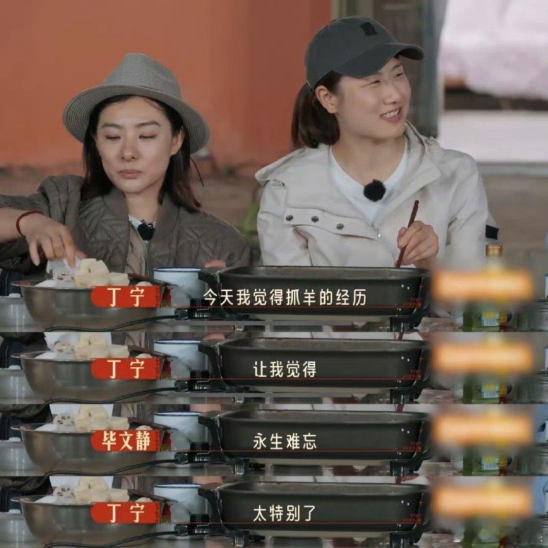 #丁宁抓羊有种赛场上的杀气# 好家伙，丁宁这是在抓羊？我差点以为这是在赛场上了，