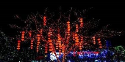 辽宁凌海市启动2026年春节景观亮化工程 ​​​