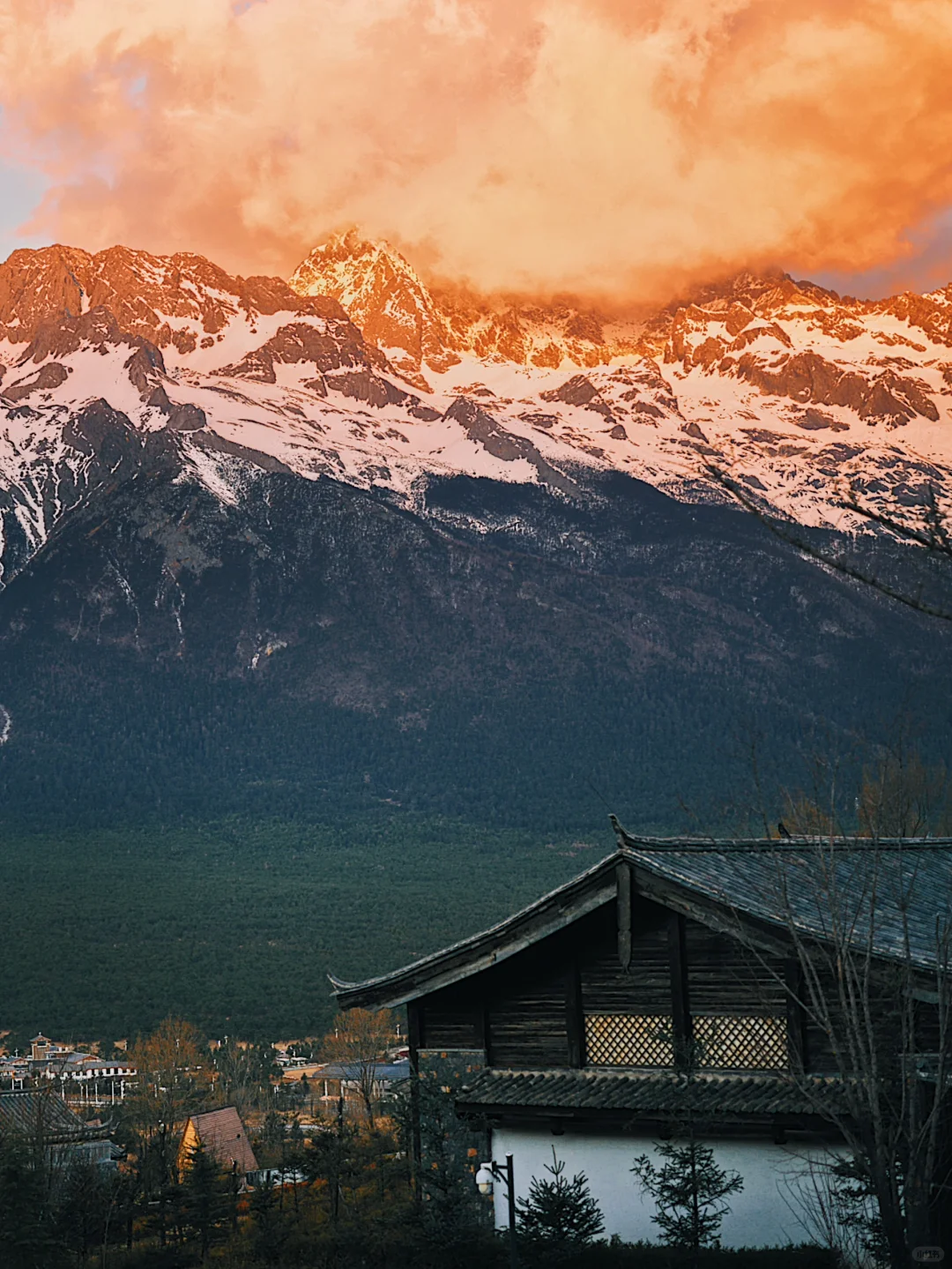 为什么我会反复爱上璞修🏔️