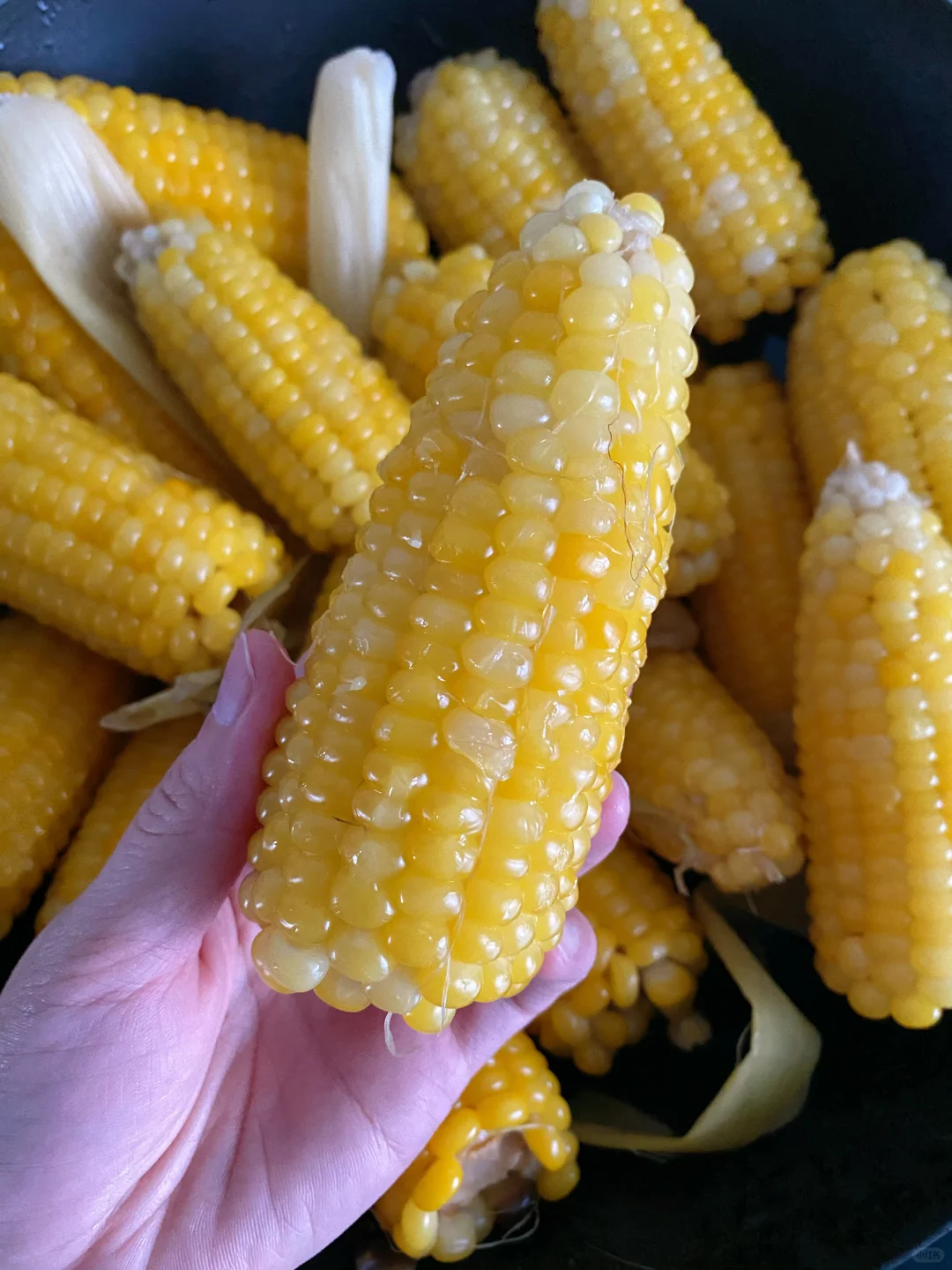 又又又烀黏苞米🌽啦，根本吃不够哈哈哈😄