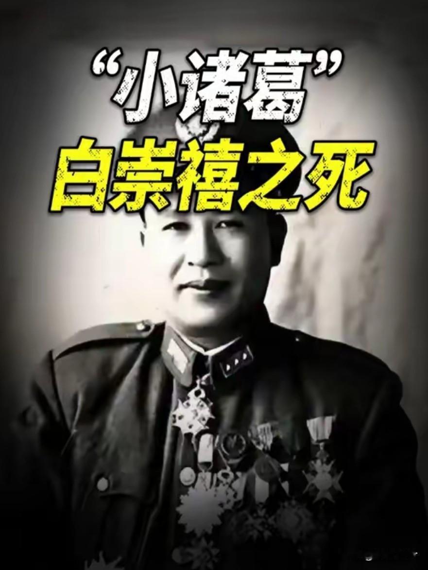 1966年白崇禧赤身裸体死在女人床上，儿子回忆：蒋介石没必要杀他！
 
这话是白