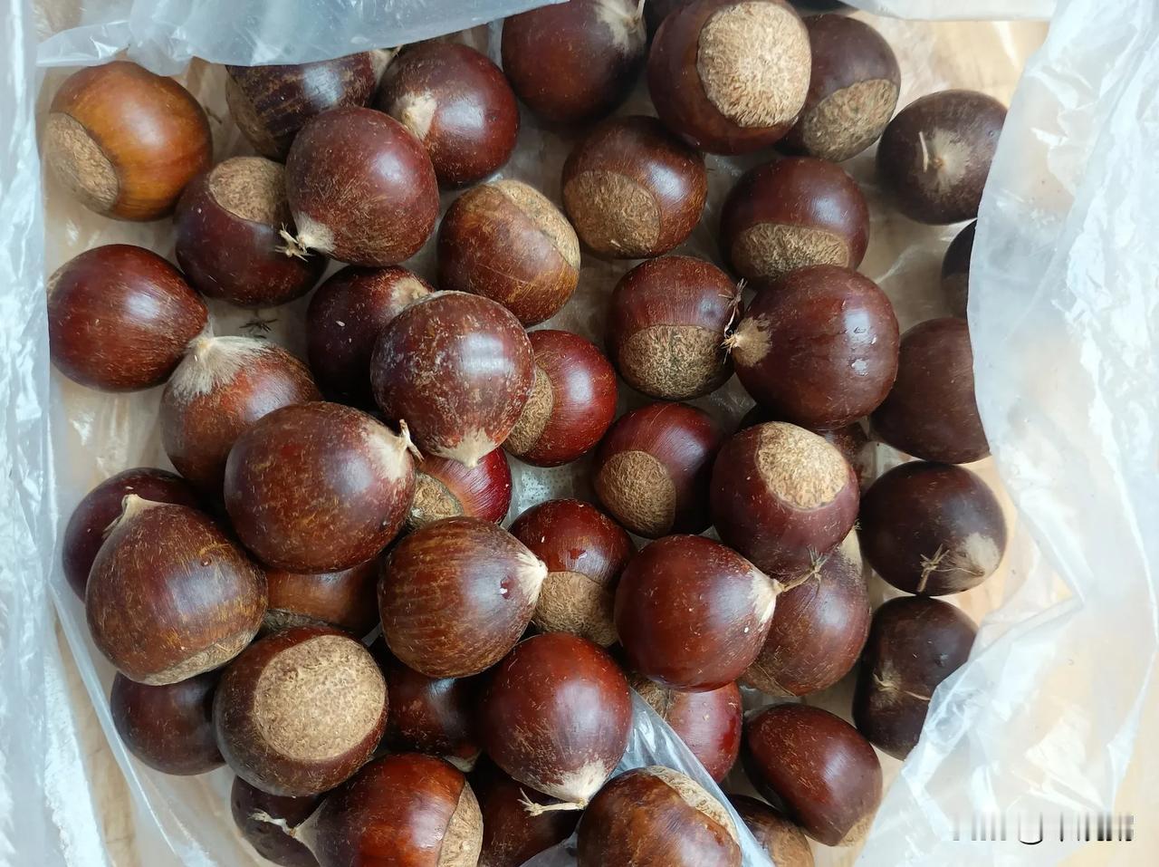 苏州，粟子上市季节。炒(烤)粟子自己做更安全。
粟子头上切一刀，电饼铛正反面10