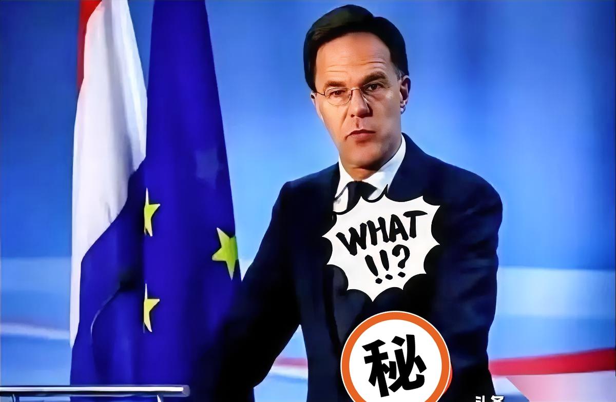 咱们这次也算是开了眼了。
荷兰那边说咱们中国的反制措施“太强硬”，我看到新闻的时