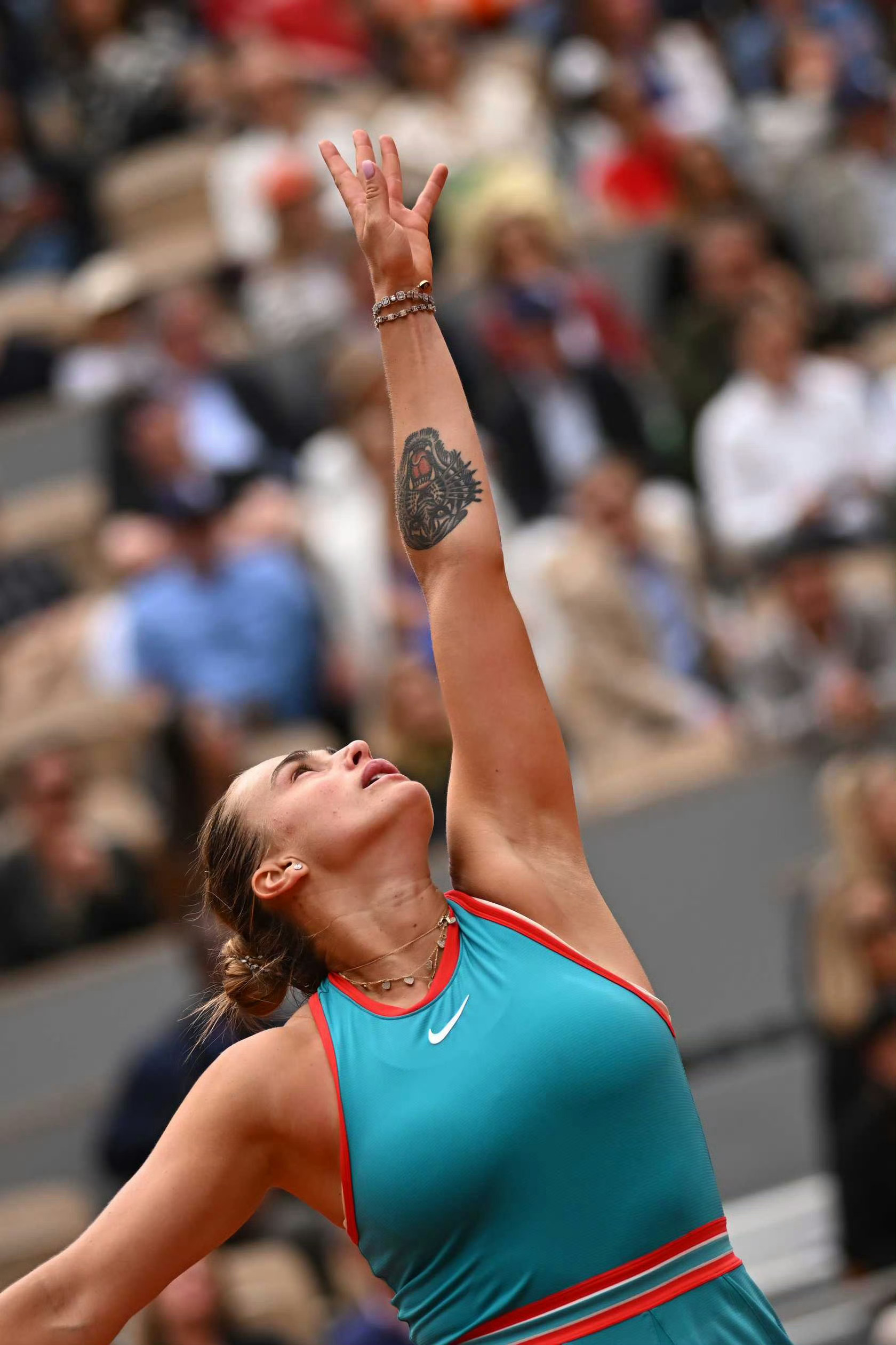 有关网球世界里的那些缤纷、激情和感动，其实，基本上都是球员年复一年在各项赛事中的