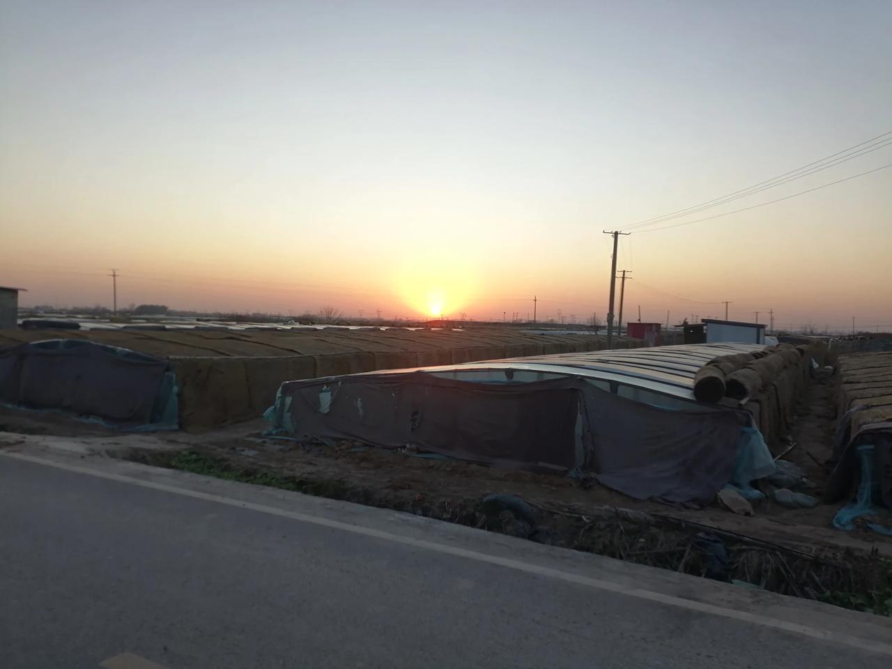 浅岸晨烟笼青苇，
深林暮色染翠松。