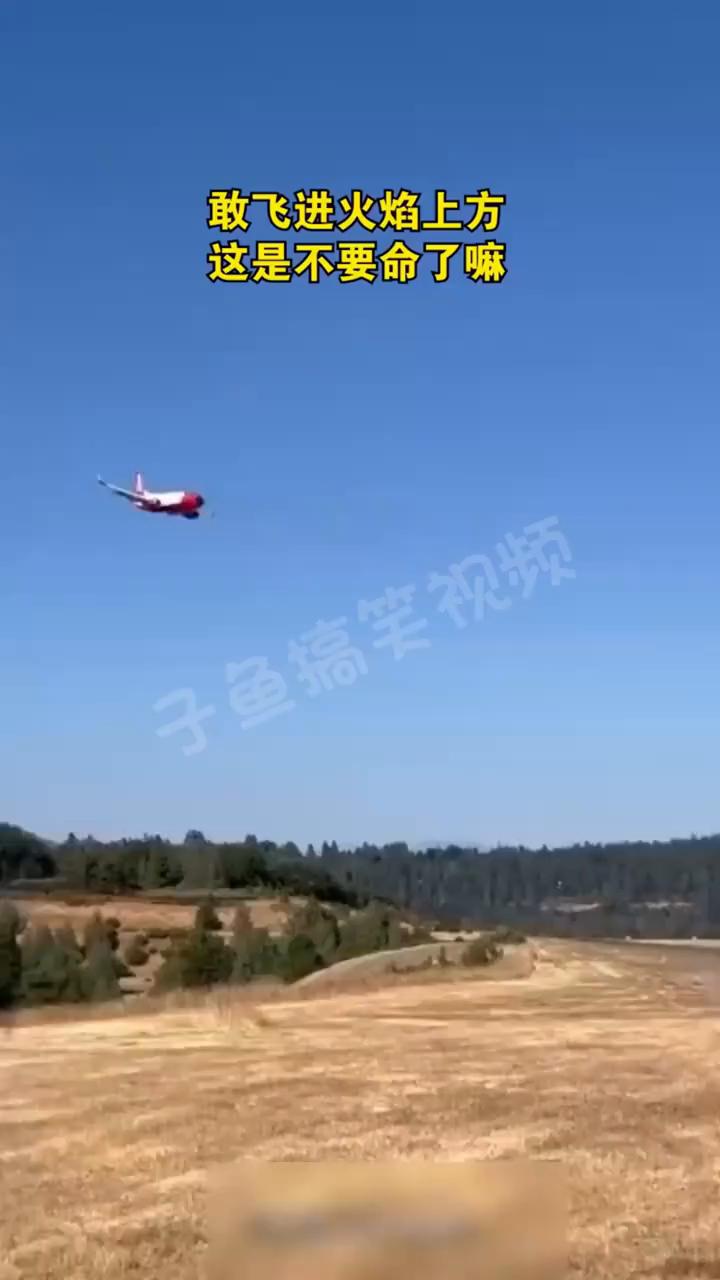 敢飞进火焰上方，这是不要命了嘛？
子鱼搞笑视频。